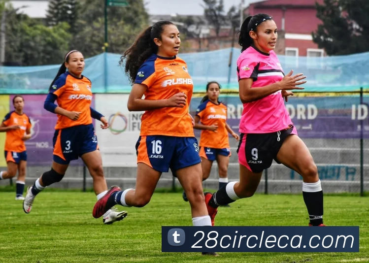 28圈官网APP 体育赛事宣传图